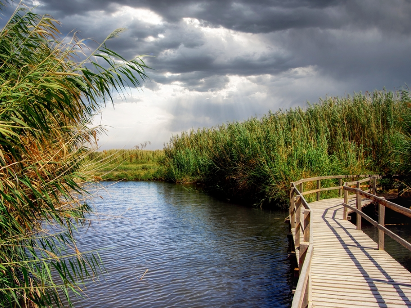 Azraq Oasis: Nature's Retreat and Azraq Castle