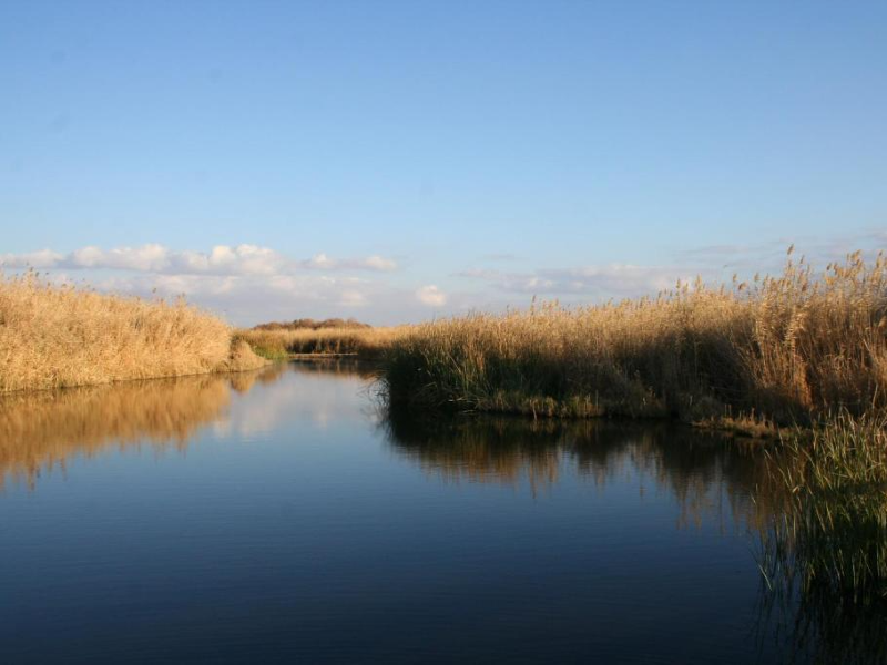 Exploring Azraq: Unveiling the Enchanting Oasis and Castle