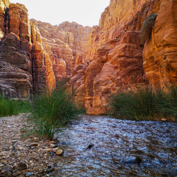 Wadi Mujib Adventure Center: Thrilling Escapades in Nature's Haven