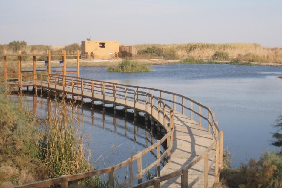 Azraq Oasis: Nature's Oasis and the Allure of Azraq Castle