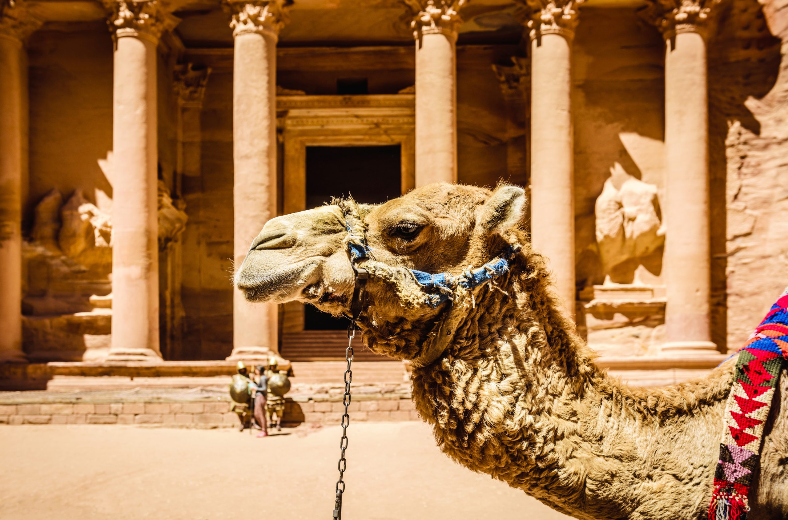 Unveiling The Treasury's Nighttime Charm: Explore Petra's Rose City with Private Jordan Tours