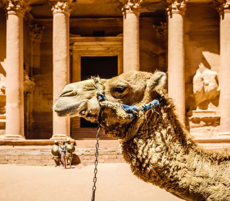 Unveiling The Treasury's Nighttime Charm: Explore Petra's Rose City with Private Jordan Tours