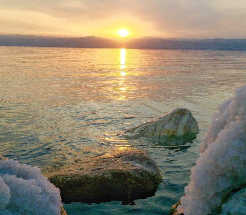 Discover the Marvels of the Dead Sea: Salty Shores, Unique Salinity, and Mud Adventures